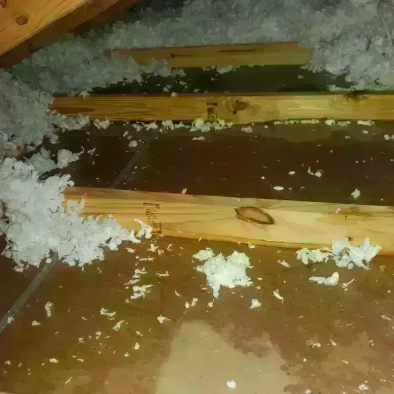 Attic Water Damage in Apache, OK