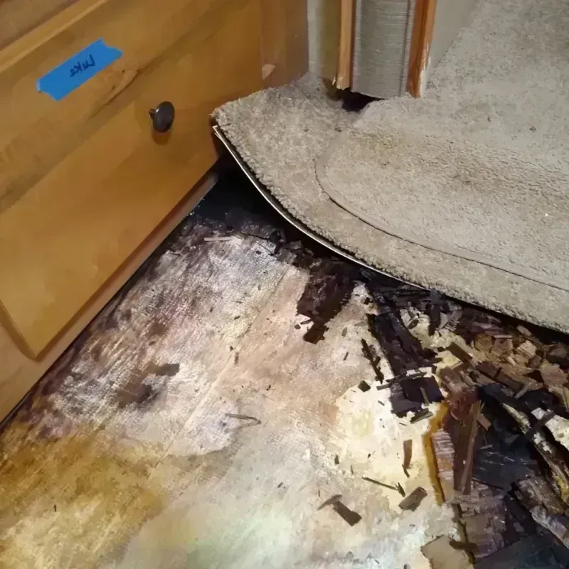 Best Wood Floor Water Damage Service in Apache, OK